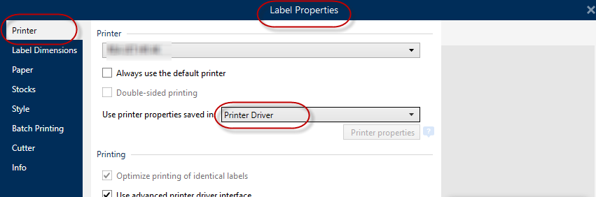 peinter_driver_optioon1.png